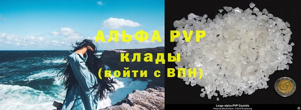 гидра Мензелинск