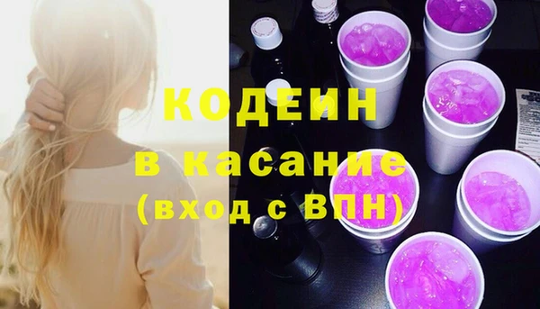 индика Аркадак