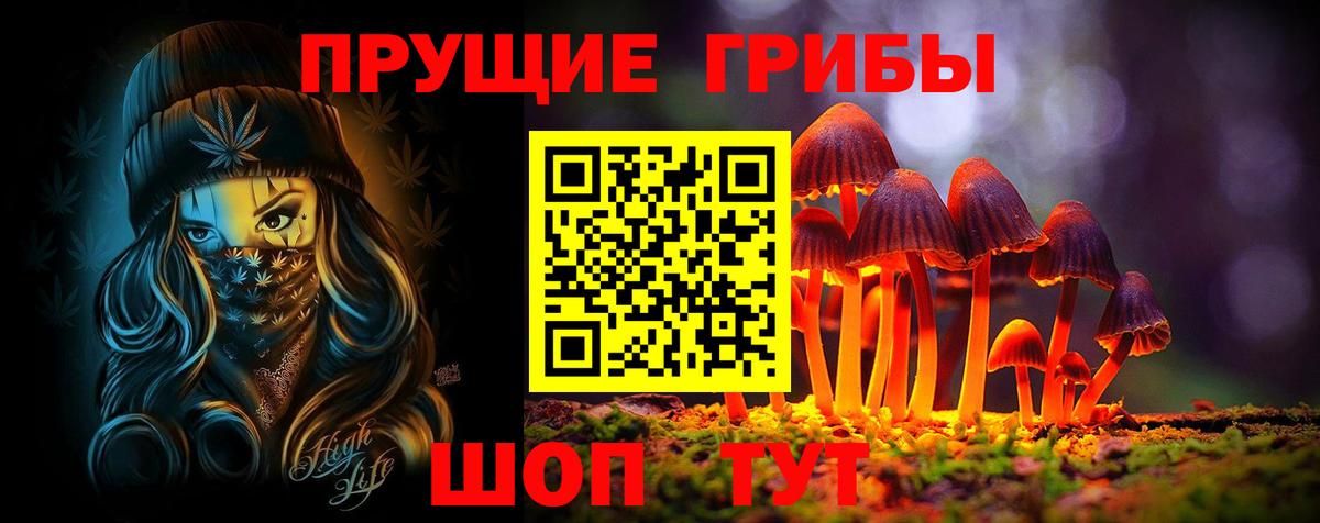 Нижневартовск  Галлюциногенные грибы Cubensis  Вход с VPN 